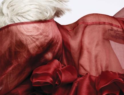Η Lady GaGa καταρρέει λίγο πριν βγει στη σκηνή!