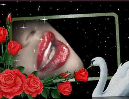 VIDEO: M.I.A. – XXXO