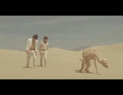 VIDEO: MGMT – Congratulations