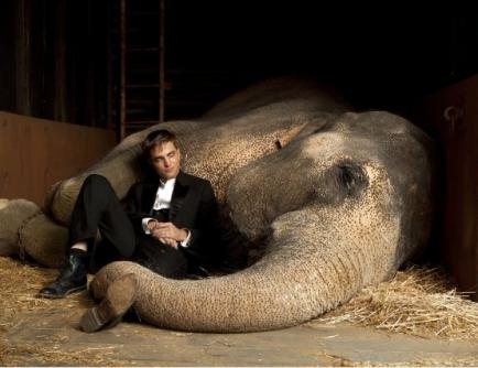Νέο trailer της ταινίας ‘Water For Elephants’