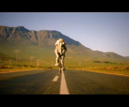 VIDEO: Coldplay – Paradise
