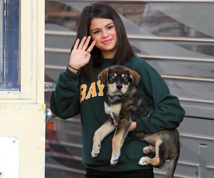 Justin Bieber & Selena Gomez: υιοθέτησαν ένα σκυλάκι