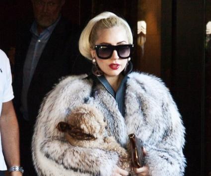 Peta VS Lady Gaga…