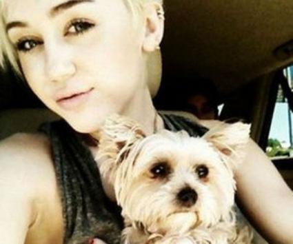Γιατί θρηνεί η Miley Cyrus;