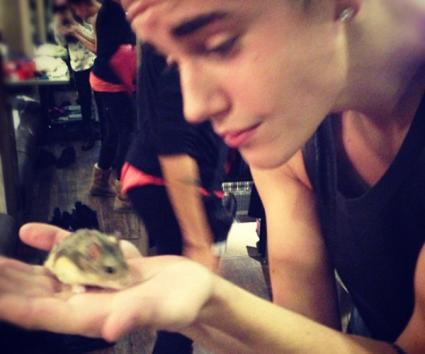 Επίθεση φιλοζωικής οργάνωσης στον Justin Bieber!