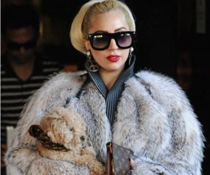 Η Lady Gaga μαθαίνει το σκυλάκι της να ζωγραφίζει