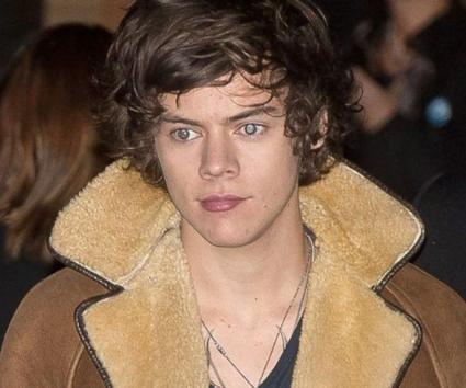 Ποιό μοντέλο «έστησε» ο Harry Styles;