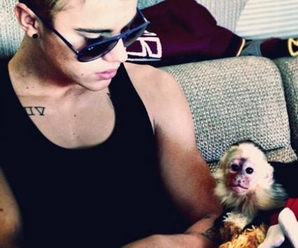 Σε καραντίνα η μαϊμού του Justin Bieber!