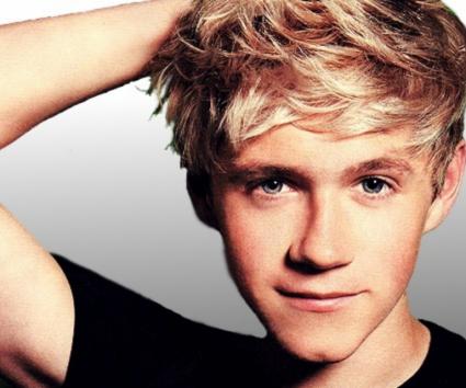 Niall Horan: “Θα έβγαινα με φαν”