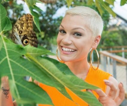 H Jessie J είναι bisexual;