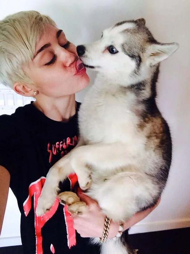 miley2