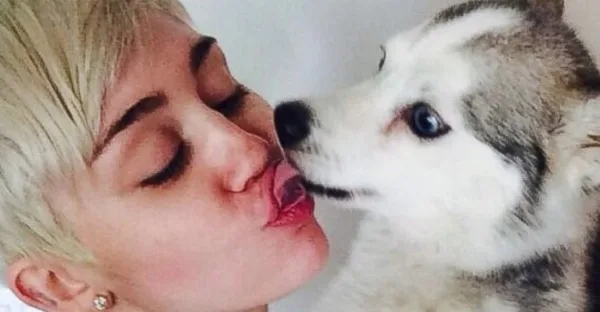 Η Miley Cyrus φιλάει ένα σκυλάκι χάσκι.