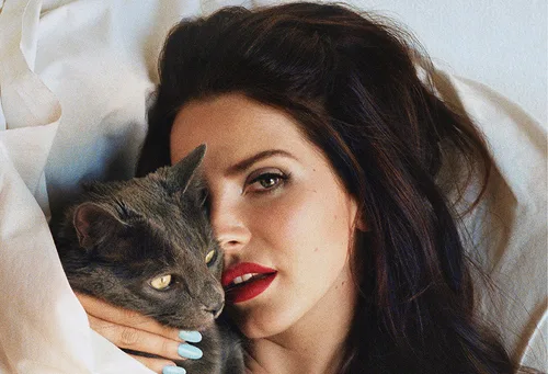 Η Lana Del Rey ξαπλωμένη αγκαλιά με μια γκρίζα γάτα.