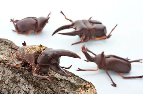 chocolate-art-sculptures-99__605