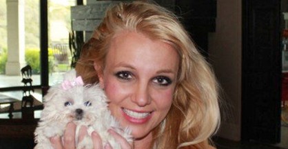 Ποιο τρελό ποσό ξόδεψε η Britney Spears για τα σκυλάκια της;