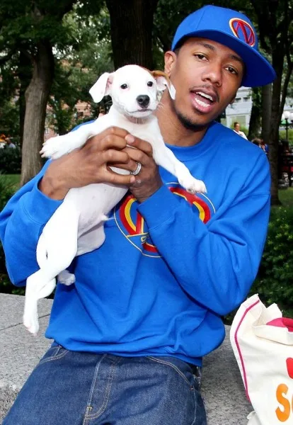 1dog