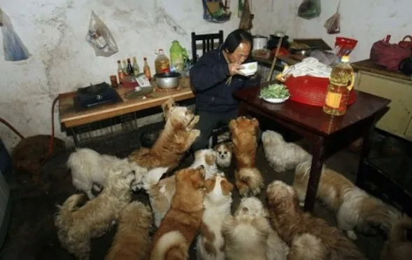 Chinese-man-rescues-adopts-140-dogs-3_2014-10-23_20-31-08-589x371