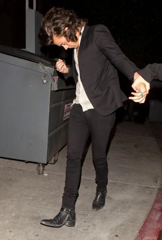 Harry-Styles νεες (4)