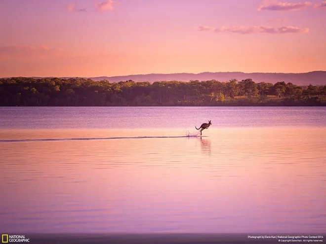 national-geographic-photo-contest-2014-photography-1