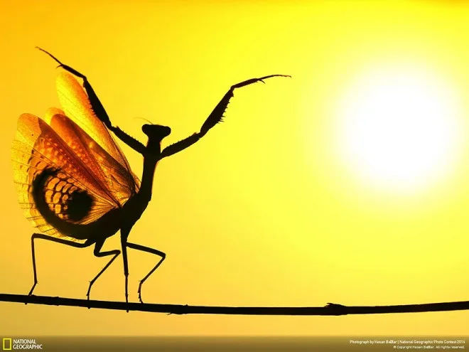 national-geographic-photo-contest-2014-photography-11