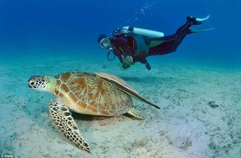 palawan4