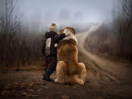 19269751_cute_big_dogs_8.limghandler