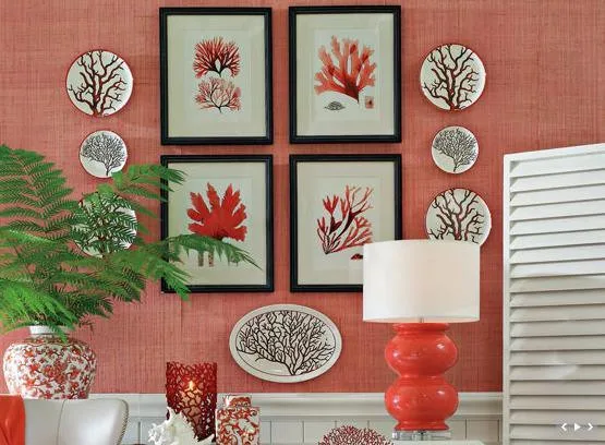 coral-reef-1