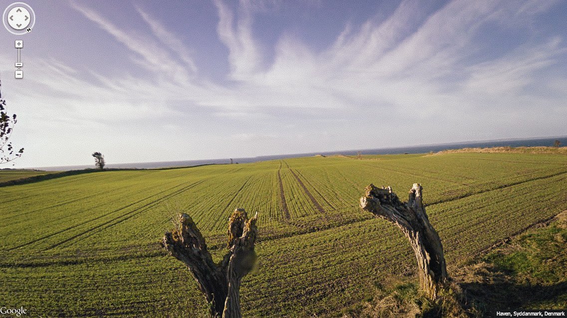 fields