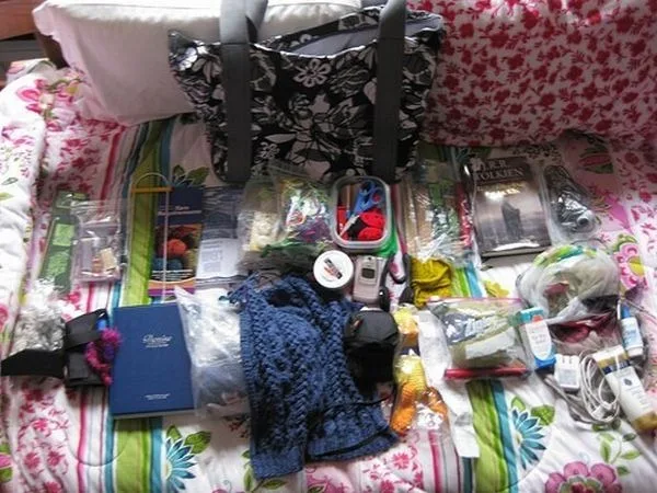 handbag-content_82