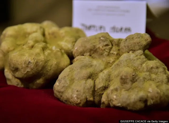 ITALY-GASTRONOMY-TRUFFLES-AUCTION-THEME-FOOD