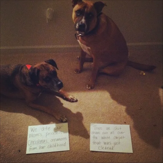 20 People Who Are Having A Way Worse Christmas Than You