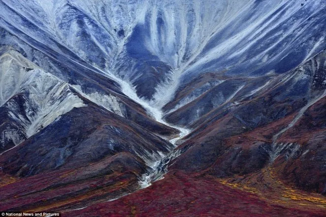23e82a2900000578-2867150-the_trace_of_an_ancient_glacier_denali_park_alaska_photographer_-a-8_1418141805188
