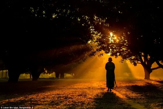 23e84d3600000578-2867150-vigorous_touch_of_the_morning_a_hindu_monk_is_walking_in_a_foggy-a-5_1418141805148