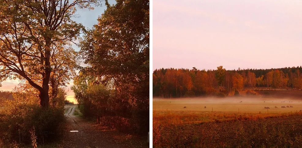 24 Reasons Why Living In Sweden Will Ruin You For Life