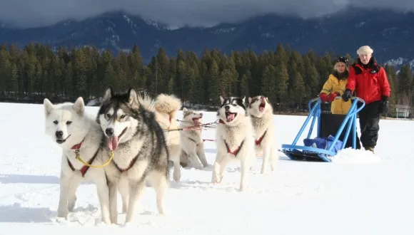 dog_sledding_3