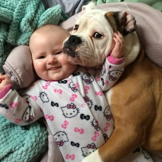 dogsbabies18