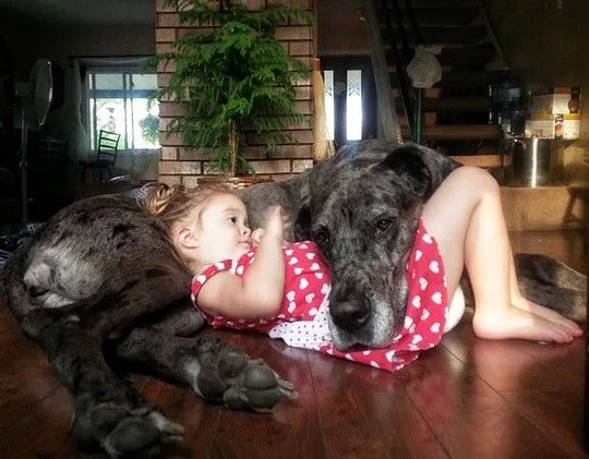 dogsbabies5