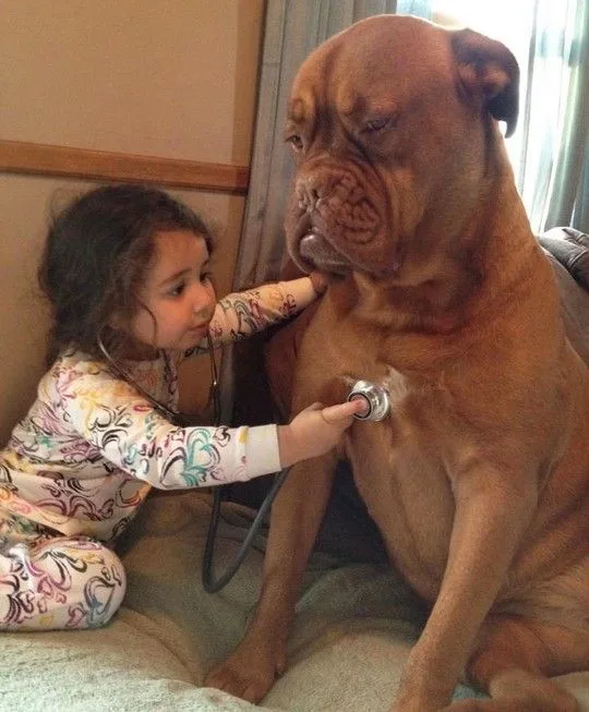 dogsbabies8