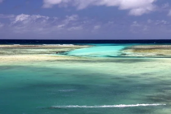 reef-shelf