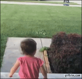 anigif_enhanced-buzz-32646-1417806299-22