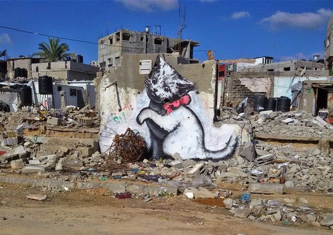 Γκράφιτι του Banksy με μια γάτα σε βομβαρδισμένο τοίχο στην Παλαιστίνη.