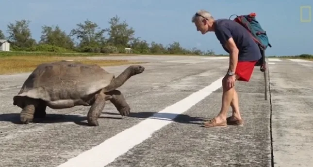 Ο Πολ Ρόουζ κοιτάζει μια γιγαντιαία χελώνα σε έναν αεροδιάδρομο.