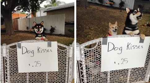33 Pictures Only Serial Killers And Replicants Won t Find Cute