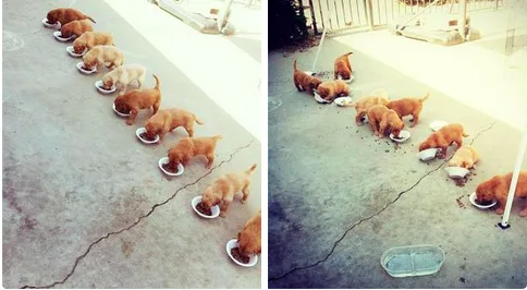 33 Pictures Only Serial Killers And Won t Find Cute