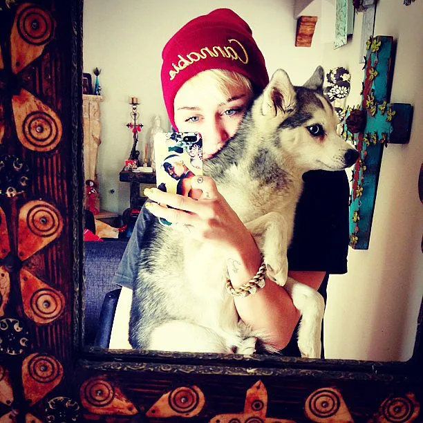 Miley-Cyrus-took-selfie-one-her-many-pups-May-2013