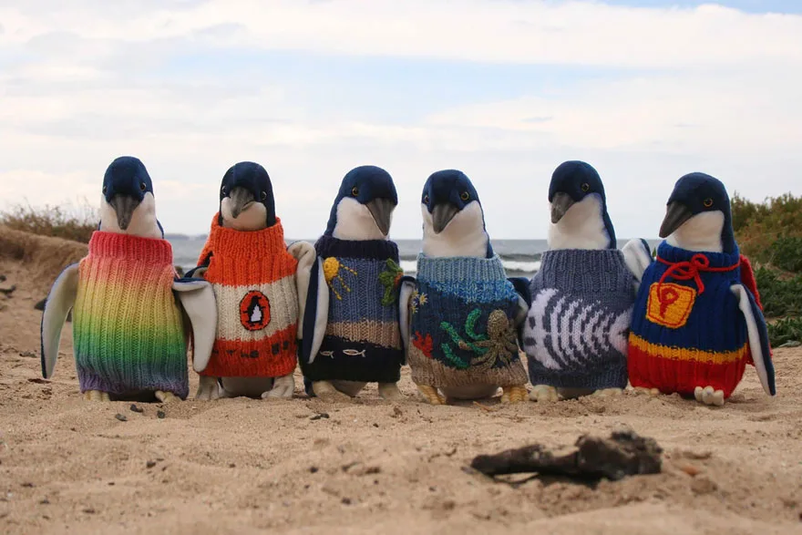 oldest-man-australia-knits-penguin-sweaters-1-1
