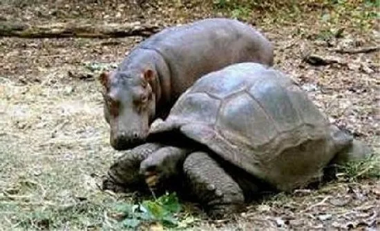 strange_friends_5