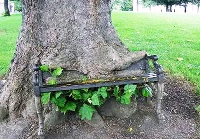 weirdtreeobjects1