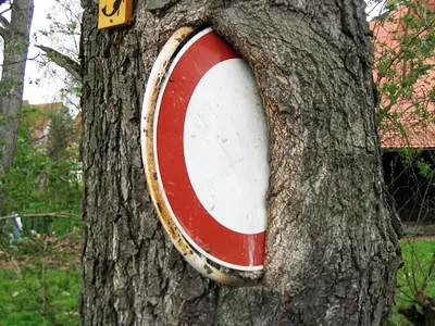 weirdtreeobjects3