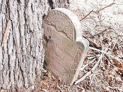 weirdtreeobjects5